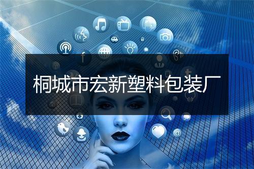 桐城市宏新塑料包装厂