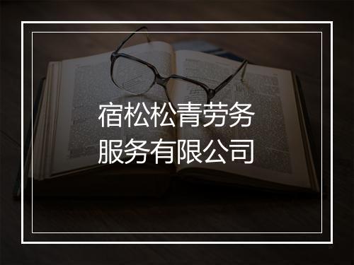 宿松松青劳务服务有限公司