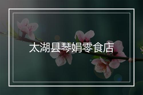 太湖县琴娟零食店