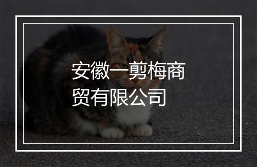 安徽一剪梅商贸有限公司
