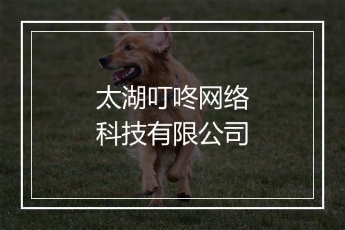 太湖叮咚网络科技有限公司