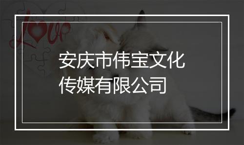 安庆市伟宝文化传媒有限公司