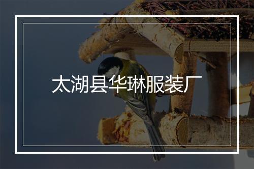 太湖县华琳服装厂