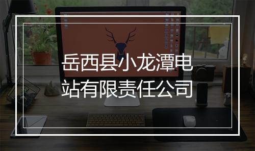 岳西县小龙潭电站有限责任公司