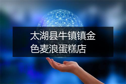 太湖县牛镇镇金色麦浪蛋糕店