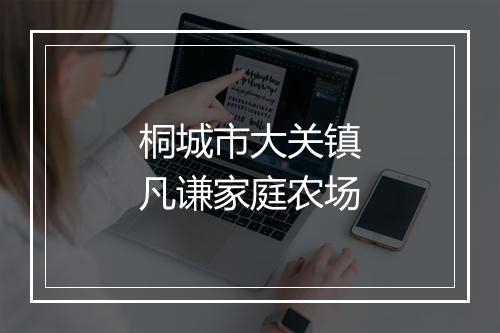 桐城市大关镇凡谦家庭农场