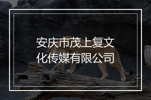 安庆市茂上复文化传媒有限公司