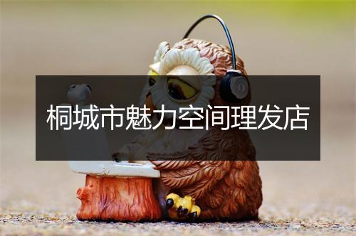 桐城市魅力空间理发店