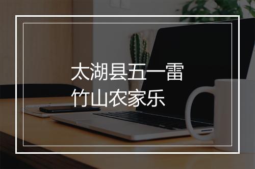太湖县五一雷竹山农家乐