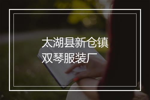 太湖县新仓镇双琴服装厂