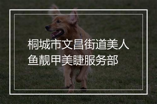 桐城市文昌街道美人鱼靓甲美睫服务部