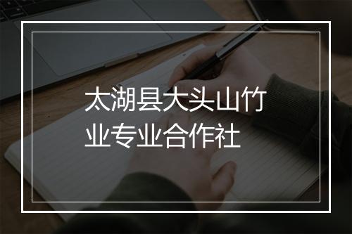 太湖县大头山竹业专业合作社