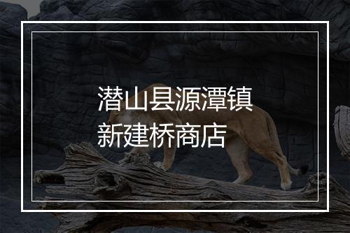 潜山县源潭镇新建桥商店