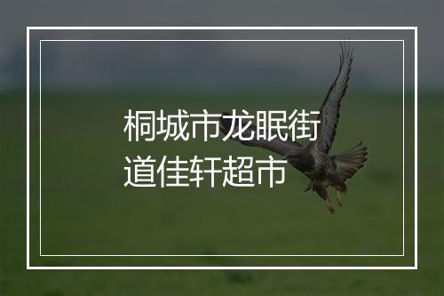 桐城市龙眠街道佳轩超市