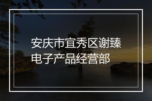 安庆市宜秀区谢臻电子产品经营部
