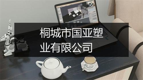 桐城市国亚塑业有限公司