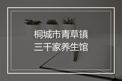 桐城市青草镇三千家养生馆