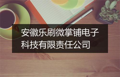 安徽乐刷微掌铺电子科技有限责任公司
