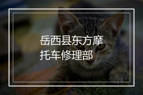 岳西县东方摩托车修理部