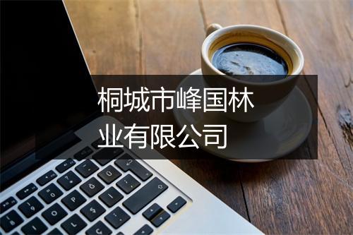 桐城市峰国林业有限公司
