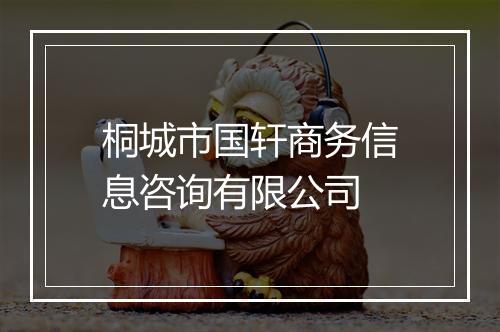 桐城市国轩商务信息咨询有限公司
