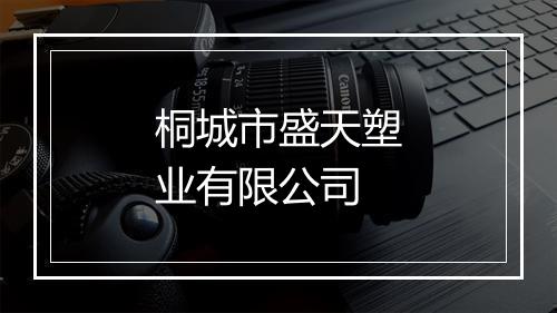 桐城市盛天塑业有限公司