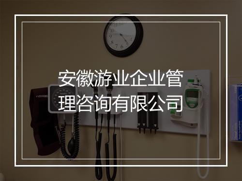 安徽游业企业管理咨询有限公司