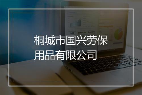 桐城市国兴劳保用品有限公司