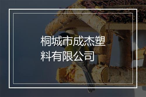 桐城市成杰塑料有限公司