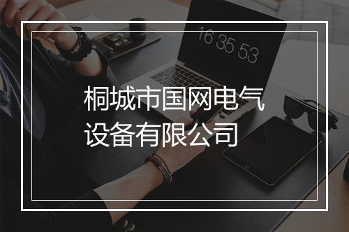 桐城市国网电气设备有限公司