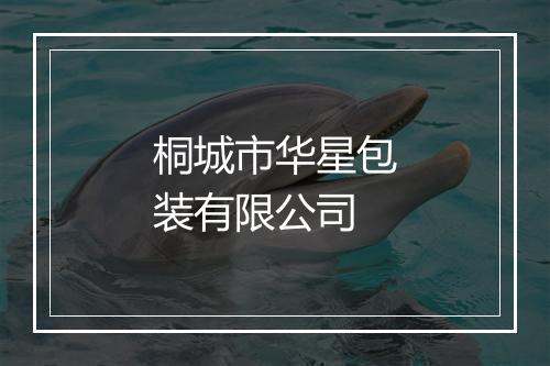 桐城市华星包装有限公司