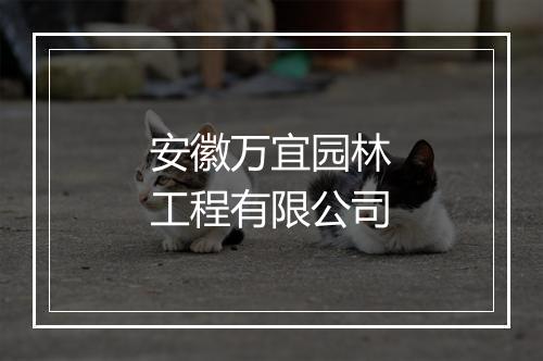 安徽万宜园林工程有限公司