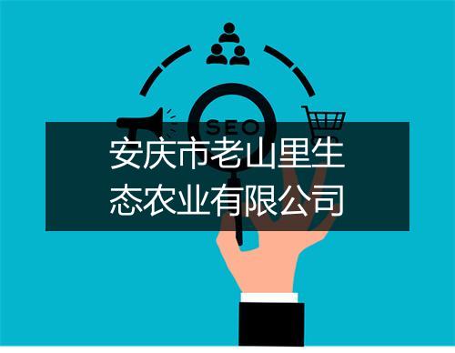 安庆市老山里生态农业有限公司