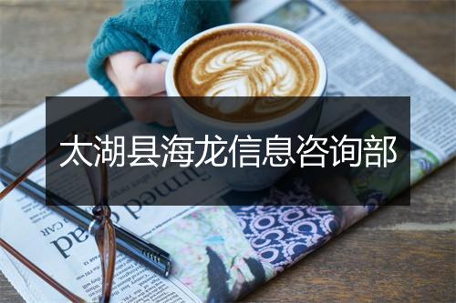 太湖县海龙信息咨询部