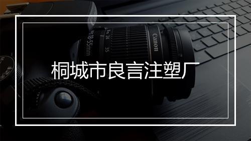 桐城市良言注塑厂