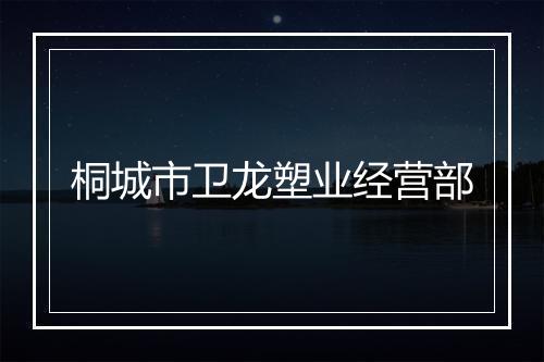 桐城市卫龙塑业经营部