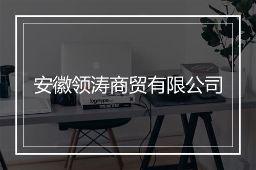 安徽领涛商贸有限公司