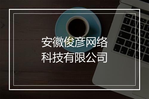 安徽俊彦网络科技有限公司