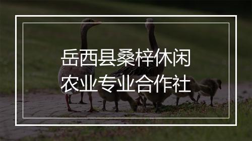 岳西县桑梓休闲农业专业合作社