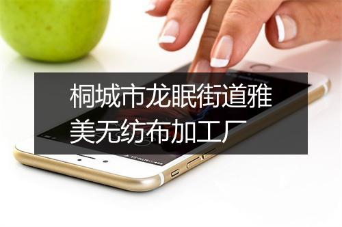 桐城市龙眠街道雅美无纺布加工厂