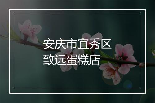 安庆市宜秀区致远蛋糕店