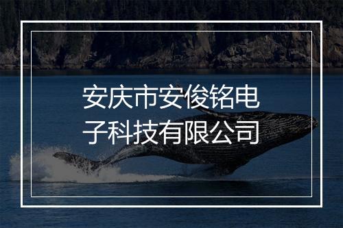 安庆市安俊铭电子科技有限公司