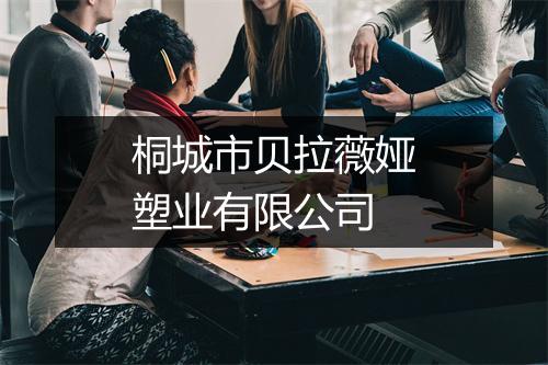桐城市贝拉薇娅塑业有限公司