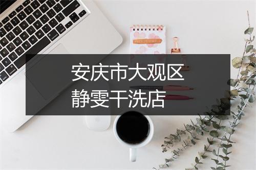 安庆市大观区静雯干洗店