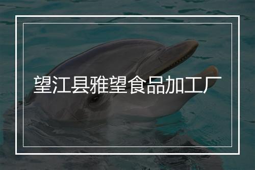 望江县雅望食品加工厂