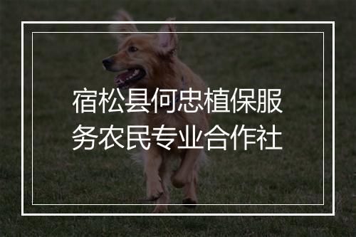 宿松县何忠植保服务农民专业合作社