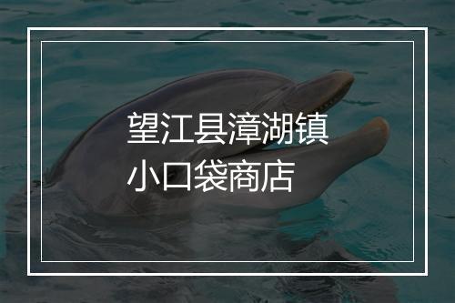 望江县漳湖镇小口袋商店