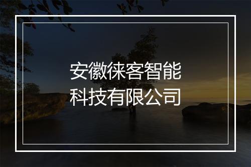 安徽徕客智能科技有限公司