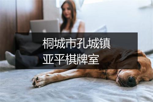 桐城市孔城镇亚平棋牌室