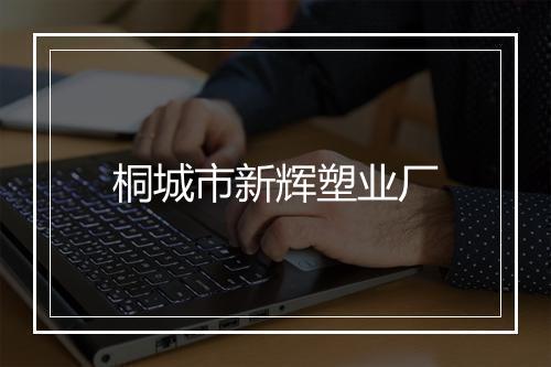 桐城市新辉塑业厂